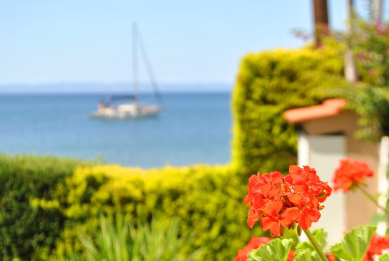 Christina'S Sea House Apartment Nikiti  Bagian luar foto