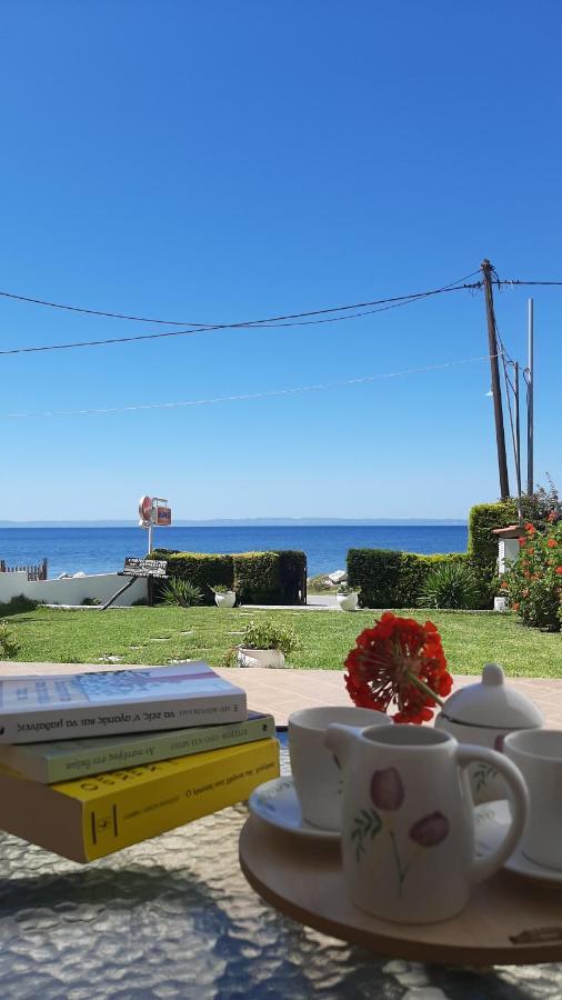 Christina'S Sea House Apartment Nikiti  Bagian luar foto